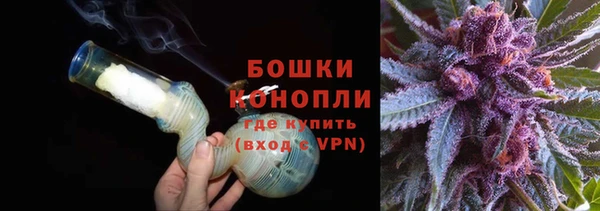 mix Инта
