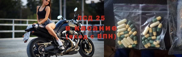 МДПВ Инсар