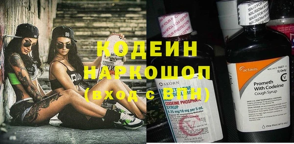 МДПВ Инсар