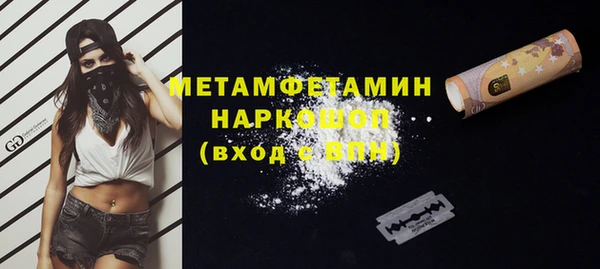 МДПВ Инсар