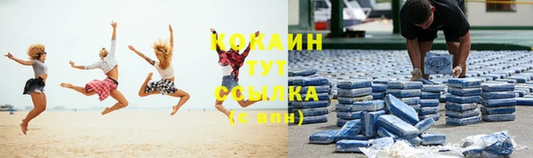 mix Инта