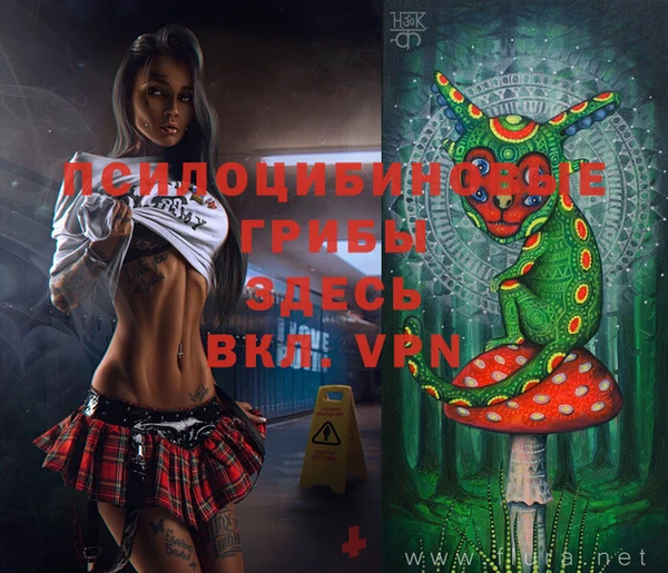 МДПВ Инсар