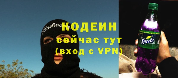 mix Инта