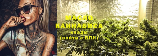МДПВ Инсар