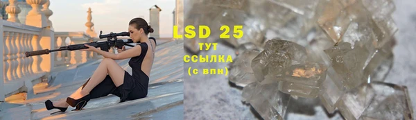 mix Инта
