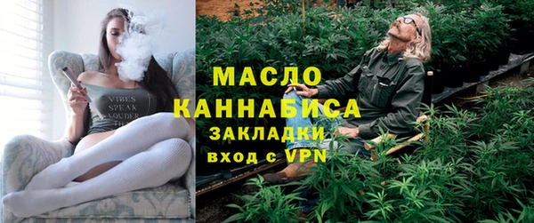 mix Инта