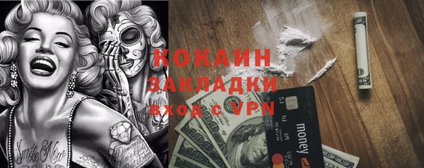 МДПВ Инсар