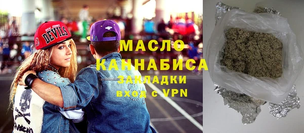 mix Инта