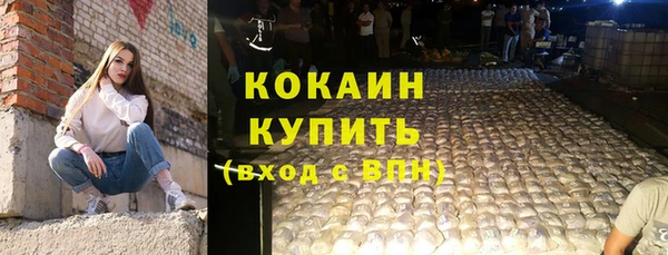 mix Инта