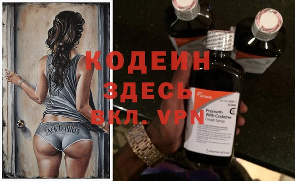 МДПВ Инсар