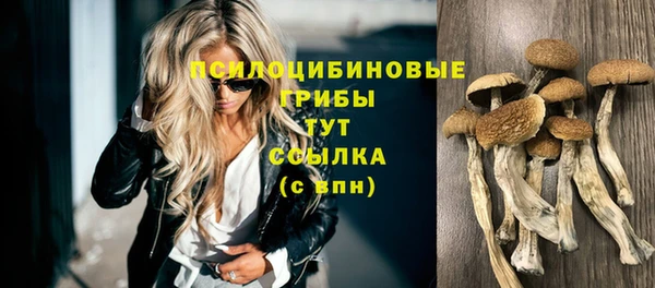 mix Инта
