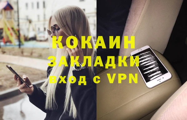 МДПВ Инсар