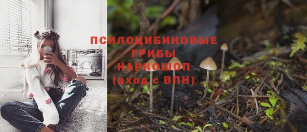 mix Инта