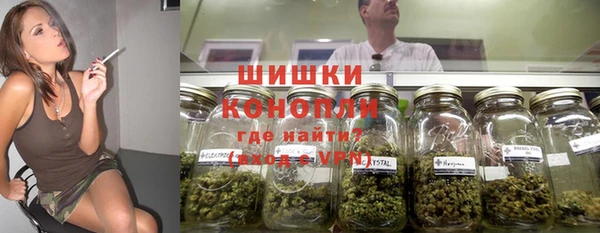 МДПВ Инсар