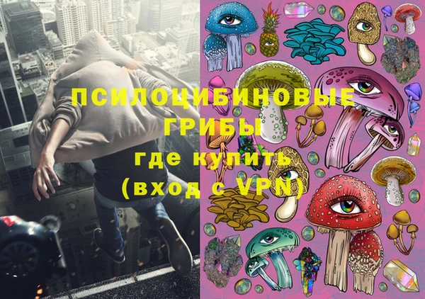 круглые Иннополис