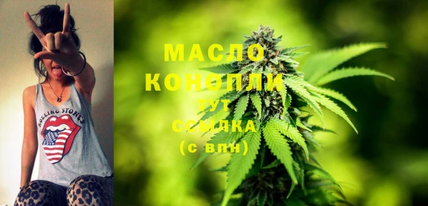 МДПВ Инсар