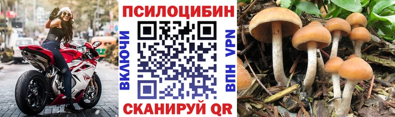 Купить где  Еманжелинск  Псилоцибиновые грибы Psilocybine cubensis 